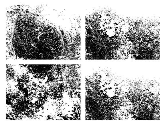 Download Distress Overlay Texture - Distress Collection