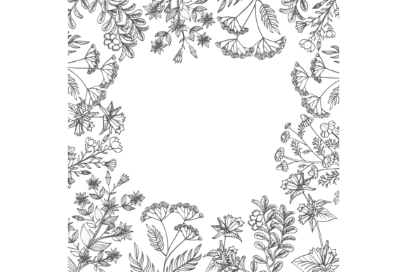 Download Botanical Frame. Herbal Border. Plants B - Botanical Collection
